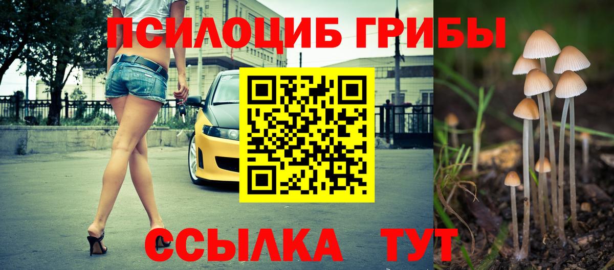 Галлюциногенные грибы Cubensis  Псилоцибиновые грибы прущие грибы  Вход с VPN  Ирбит 